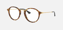 Alternative view of RAY BAN ROUND FLECK 2447V