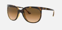 Alternative view of RAY BAN 4126 CATS 1000